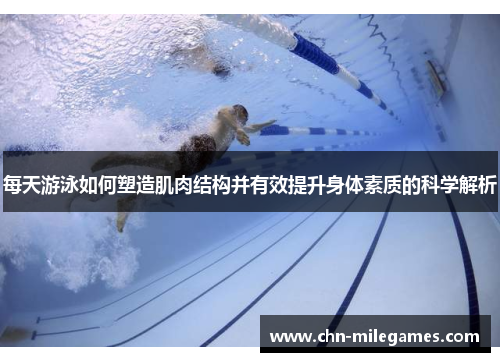 每天游泳如何塑造肌肉结构并有效提升身体素质的科学解析